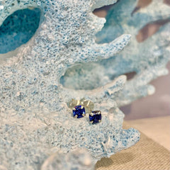 Sterling Silver Blue Cubic Zirconia Studs - G7973