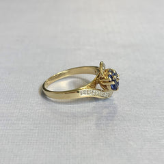 9ct Yellow Gold Ceylon Sapphire and Diamond Ring - R2852