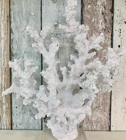 Large White Decorative Coral Piece on Stand - G7266
