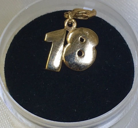 9ct Yellow Gold 18 Charm With Parrot Clasp - G1154