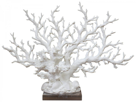 Pinnate White Coral Decor - G5402