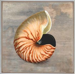 Shell Canvas - G3051