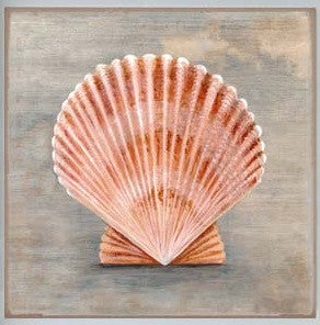 Shell Canvas - G3049