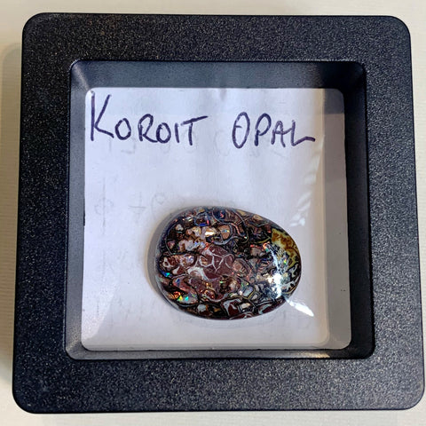 17.2 Carat Koroit Opal