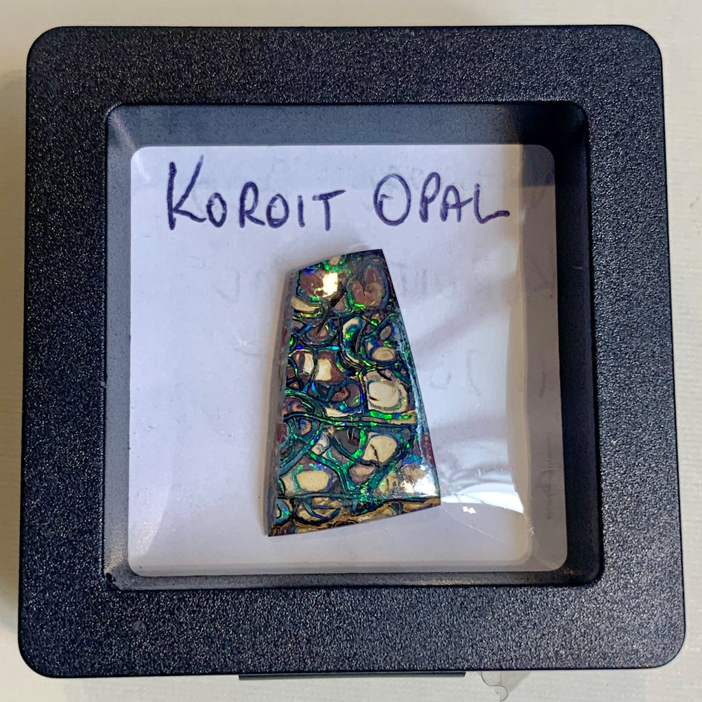 11.2 Carat Koroit Opal